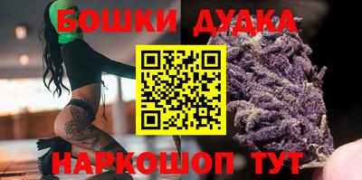МДПВ Будённовск