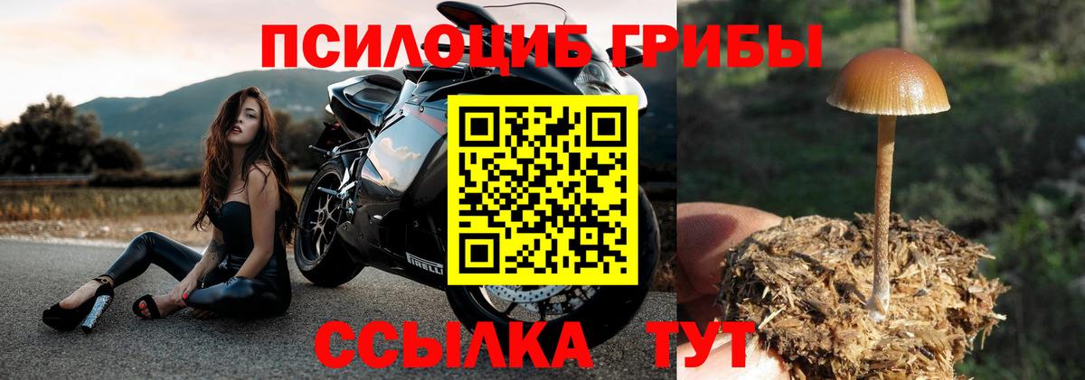 Галлюциногенные грибы мицелий  Вход с VPN  Галлюциногенные грибы MAGIC MUSHROOMS  Мурманск 